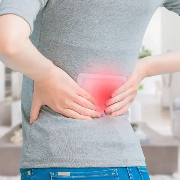 Adhesive Body Heat Patches Hotpads (Pack of 4)